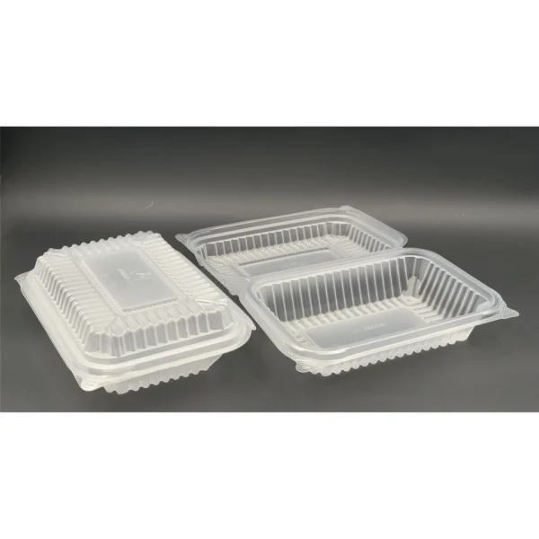 efe26d0bdeff51fdd7819794b416628c.webp ABBA Medium PP Lunch Box