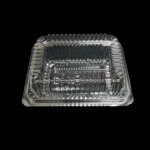 GO 46 OPS Clear Cake Container